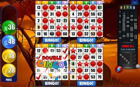 bingo plus.com|bingo gratis jugar.